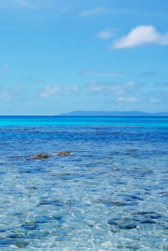 海の写真